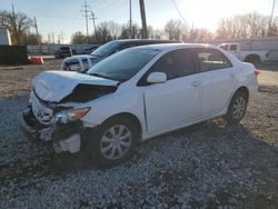 Salvage cars for sale at Columbus, OH auction: 2011 Toyota Corolla Base