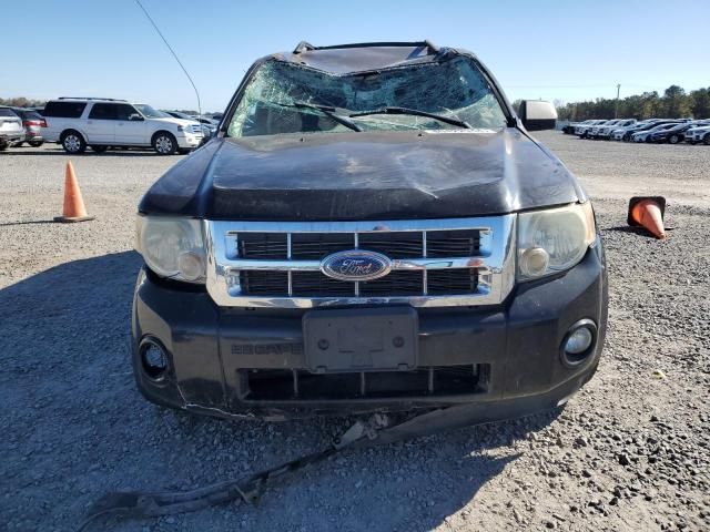 2009 Ford Escape XLT