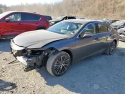 2024 Lexus ES 350 Base en venta en Marlboro, NY