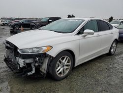 Salvage cars for sale at Antelope, CA auction: 2013 Ford Fusion SE