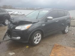 Salvage cars for sale at Louisville, KY auction: 2016 Ford Escape SE