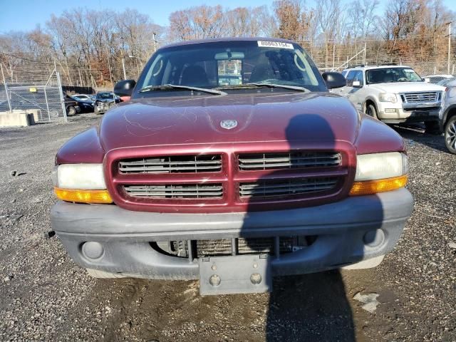 2003 Dodge Dakota SXT