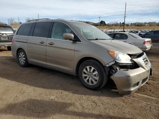 2010 Honda Odyssey EXL