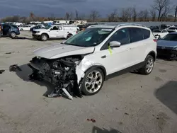 Salvage cars for sale at Bridgeton, MO auction: 2014 Ford Escape Titanium