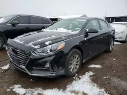 Hyundai salvage cars for sale: 2019 Hyundai Sonata SE