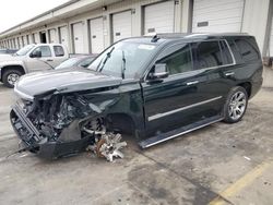 Salvage cars for sale at Louisville, KY auction: 2016 Cadillac Escalade Premium