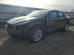 Salvage cars for sale at Fredericksburg, VA auction: 2019 Ford Fusion SEL