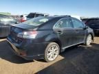 2010 Lexus HS 250H