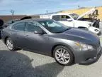 2014 Nissan Maxima S