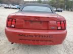 2002 Ford Mustang