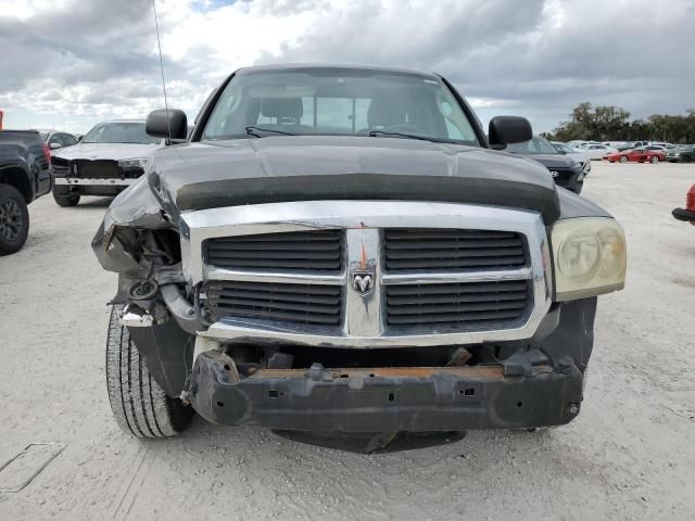 2005 Dodge Dakota SLT