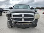 2005 Dodge Dakota SLT