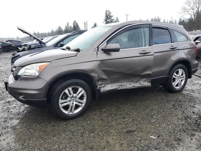 2010 Honda CR-V EXL