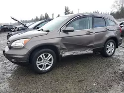 Salvage cars for sale at Graham, WA auction: 2010 Honda CR-V EXL