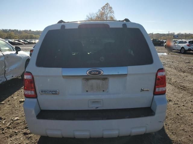 2011 Ford Escape Limited