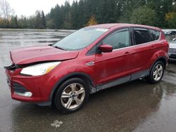 Carros con verificación Run & Drive a la venta en subasta: 2015 Ford Escape SE