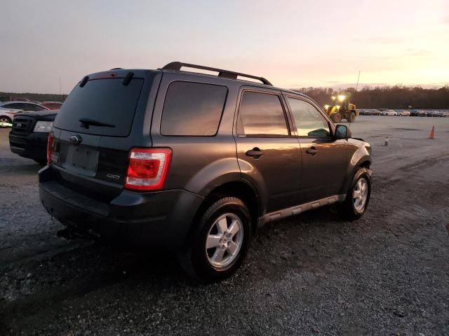 2009 Ford Escape XLT