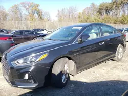 Salvage cars for sale at Waldorf, MD auction: 2019 Hyundai Sonata SE