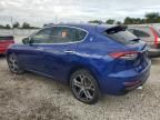 2022 Maserati Levante Base