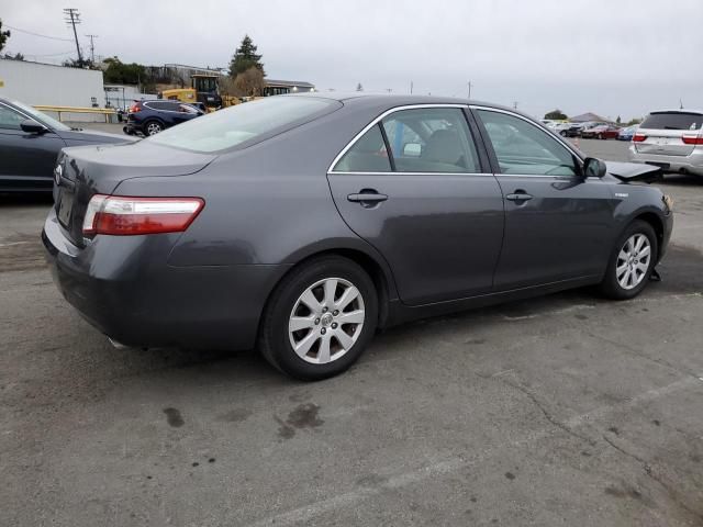 2009 Toyota Camry Hybrid