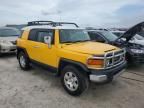 2007 Toyota FJ Cruiser