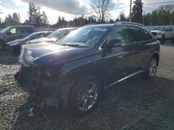 Lexus salvage cars for sale: 2013 Lexus RX 350 Base