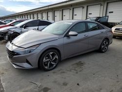 Salvage cars for sale at Louisville, KY auction: 2023 Hyundai Elantra SEL