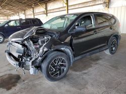 Salvage cars for sale at Phoenix, AZ auction: 2016 Honda CR-V SE