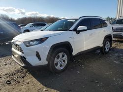 Lotes con ofertas a la venta en subasta: 2019 Toyota Rav4 LE