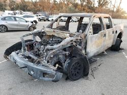 Salvage cars for sale at Van Nuys, CA auction: 2012 Ford F150 SVT Raptor