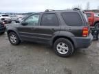 2007 Ford Escape XLT