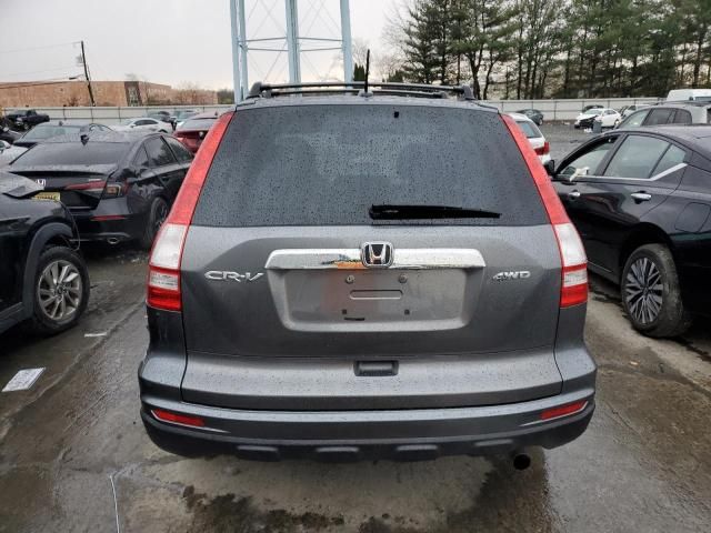 2010 Honda CR-V EXL