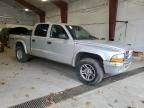 2004 Dodge Dakota Quad SLT