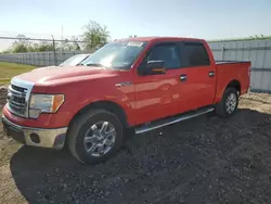 Ford salvage cars for sale: 2014 Ford F150 Supercrew