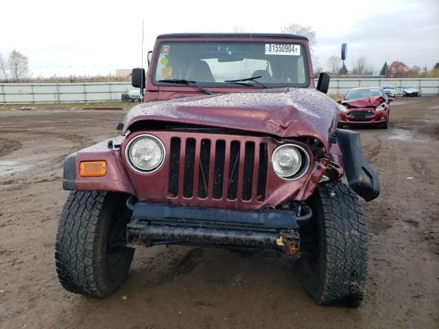 2002 Jeep Wrangler / TJ X