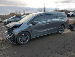 2024 Honda Odyssey Touring en venta en Montreal Est, QC