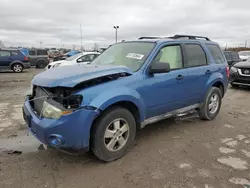 2009 Ford Escape XLT en venta en Indianapolis, IN