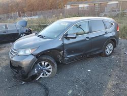 Salvage cars for sale at Baltimore, MD auction: 2014 Honda CR-V EX