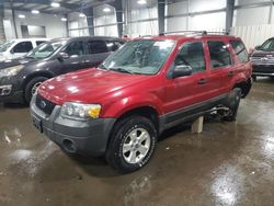 Ford salvage cars for sale: 2005 Ford Escape XLT