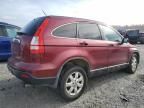 2009 Honda CR-V EXL