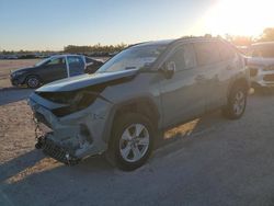 Salvage cars for sale at Houston, TX auction: 2020 Toyota Rav4 XLE