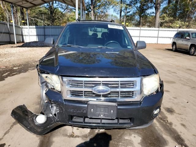 2009 Ford Escape XLT