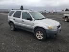 2005 Ford Escape XLT