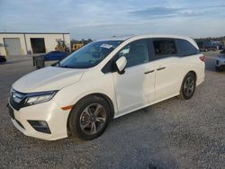 Honda salvage cars for sale: 2019 Honda Odyssey Touring