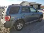 2010 Ford Escape Hybrid