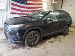 Salvage cars for sale from Copart Lyman, ME: 2022 Toyota Rav4 Limited