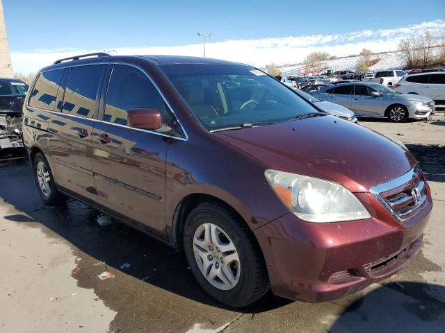 2007 Honda Odyssey EXL