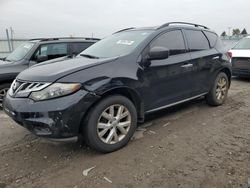 Nissan salvage cars for sale: 2011 Nissan Murano S