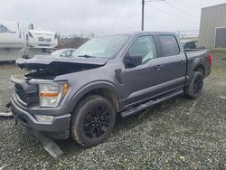 Salvage cars for sale at Cow Bay, NS auction: 2022 Ford F150 Supercrew