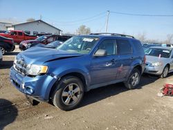 Ford salvage cars for sale: 2009 Ford Escape XLT